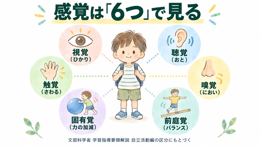 感覚は6つで見る 視覚 聴覚 触覚 嗅覚 固有覚 前庭覚