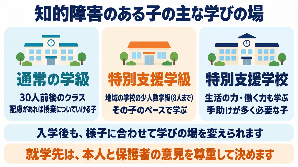 知的障害のある子の主な学びの場の図。通常の学級、特別支援学級、特別支援学校