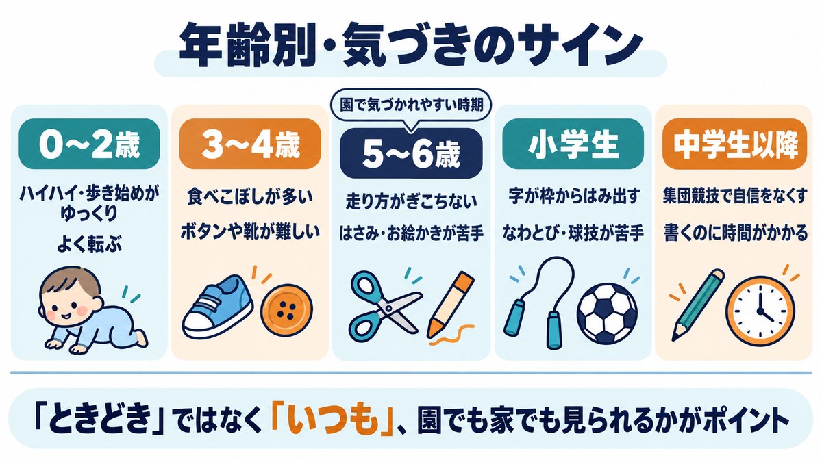 DCDの年齢別の気づきのサインの図。0〜2歳、3〜4歳、5〜6歳、小学生、中学生以降