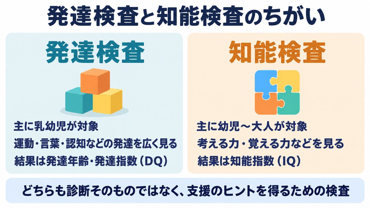 発達検査と知能検査のちがいの図。発達検査は主に乳幼児が対象で結果は発達指数DQ、知能検査は幼児から大人が対象で結果は知能指数IQ
