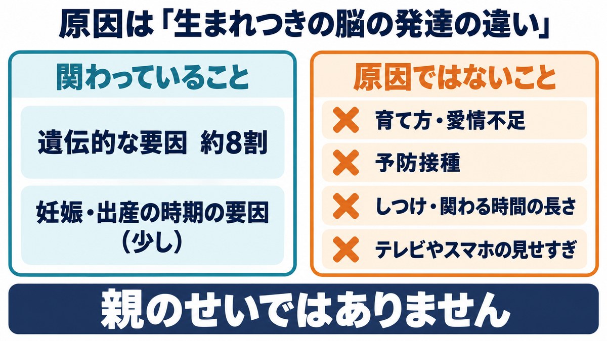 自閉スペクトラム症の原因の図。関わっているのは遺伝的な要因(約8割)と妊娠・出産の時期の要因。育て方・愛情不足、予防接種、しつけ、テレビやスマホは原因ではない