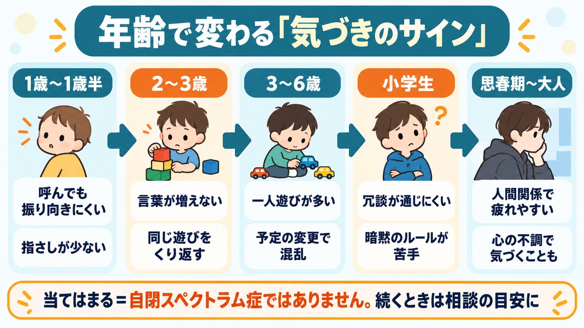 自閉スペクトラム症の気づきのサインを年齢別に並べた図。1歳〜1歳半は呼んでも振り向きにくい・指さしが少ない、2〜3歳は言葉が増えない、3〜6歳は予定の変更で混乱、小学生は暗黙のルールが苦手、思春期〜大人は人間関係で疲れやすい