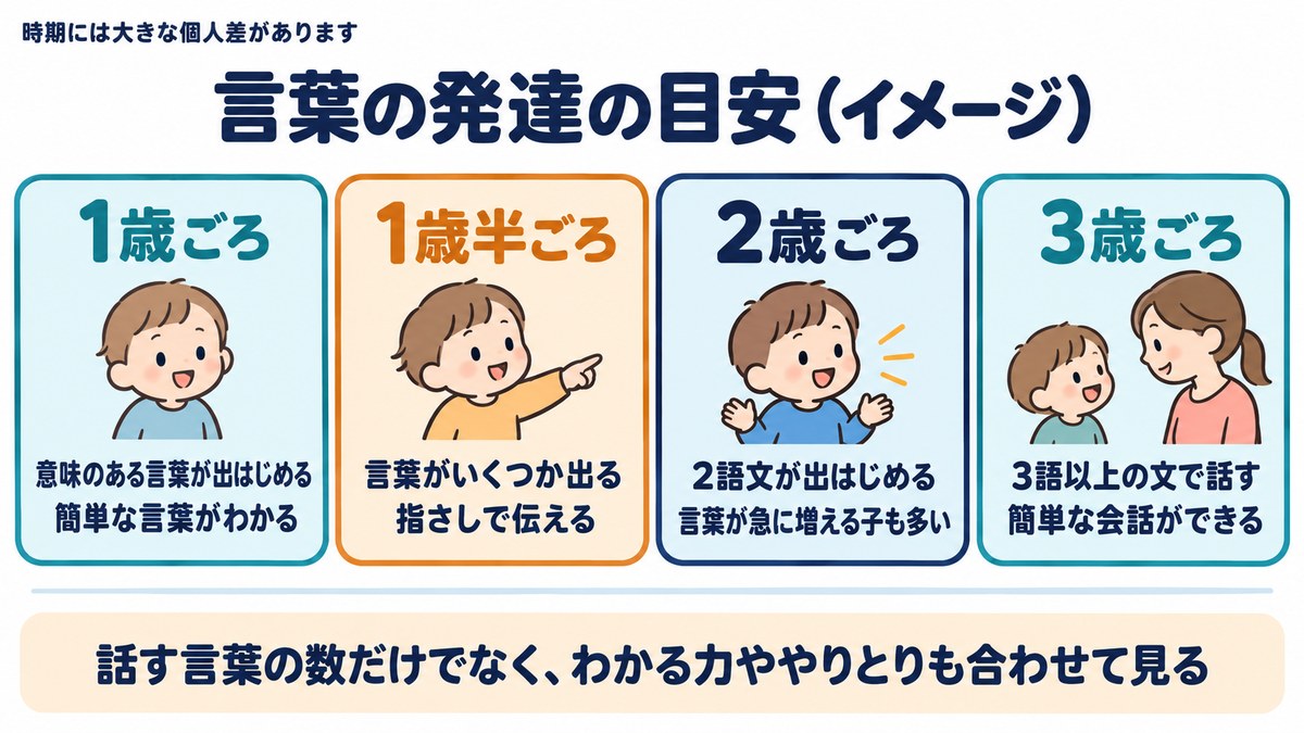 言葉の発達の目安のイメージ図。1歳ごろ意味のある言葉、1歳半ごろ指さし、2歳ごろ2語文、3歳ごろ3語以上の文と会話