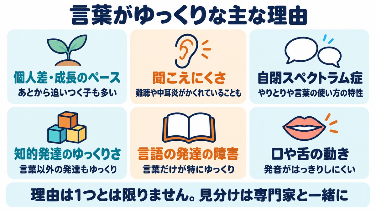 言葉がゆっくりな主な理由の図。個人差、聞こえにくさ、自閉スペクトラム症、知的発達のゆっくりさ、言語の発達の障害、口や舌の動き