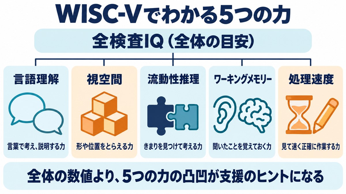 WISC-Vでわかる5つの力の図。言語理解、視空間、流動性推理、ワーキングメモリー、処理速度と全検査IQ